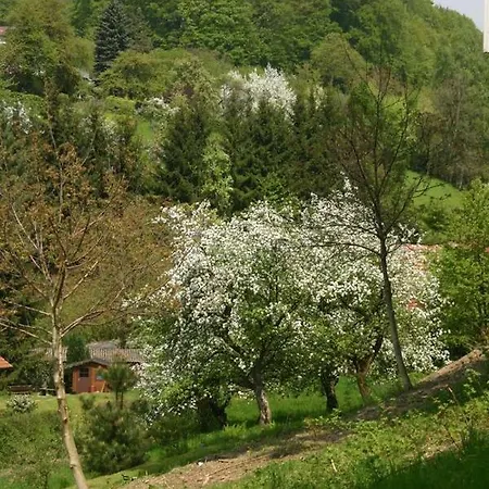 Blumenwiese Дом отдыха