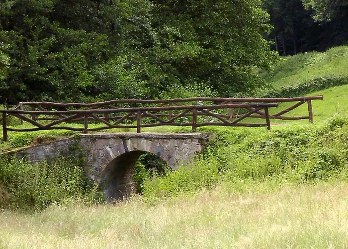 Blumenwiese * Ober-Hambach