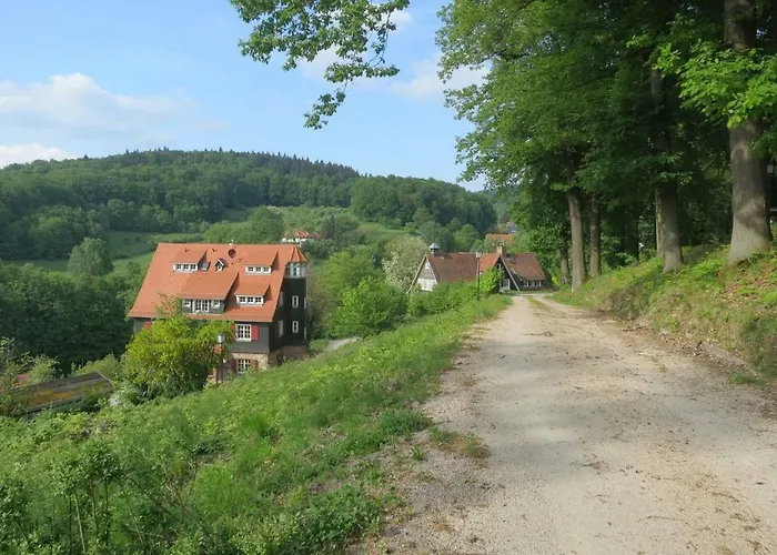 Blumenwiese * Ober-Hambach