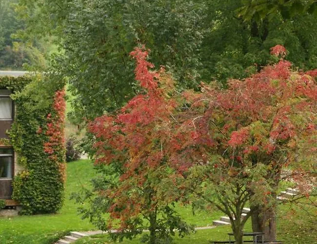 Blumenwiese * Ober-Hambach
